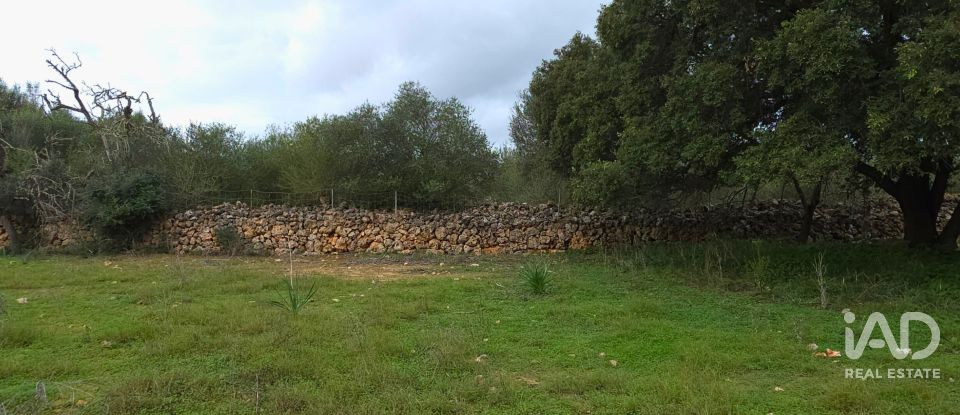 Land of 14,172 m² in Santa Margalida (07450)