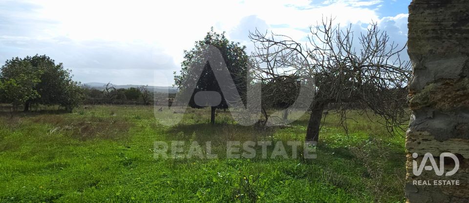 Land of 14,172 m² in Santa Margalida (07450)