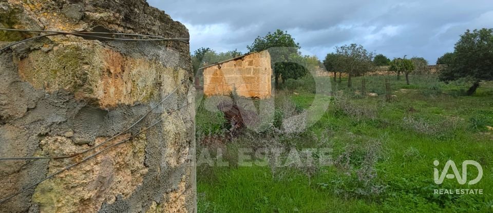 Land of 14,172 m² in Santa Margalida (07450)