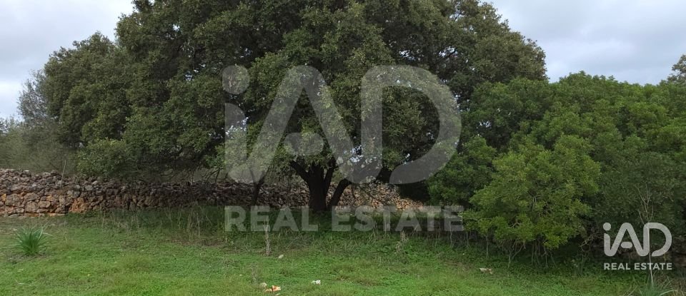 Land of 14,172 m² in Santa Margalida (07450)