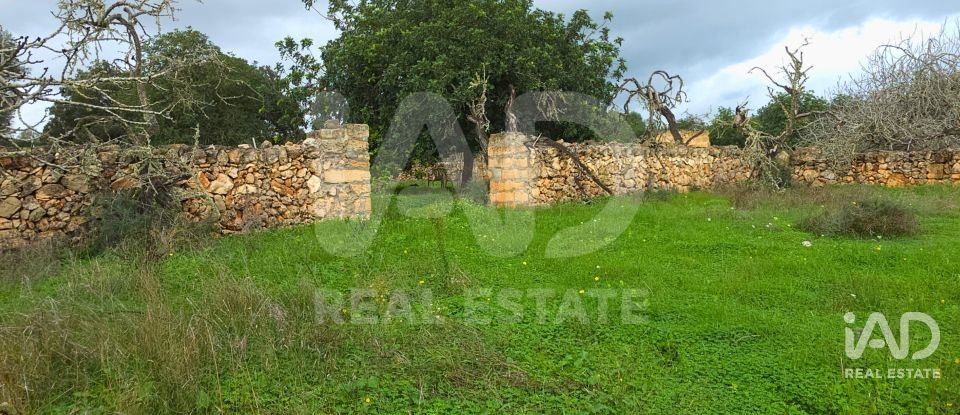 Land of 14,172 m² in Santa Margalida (07450)