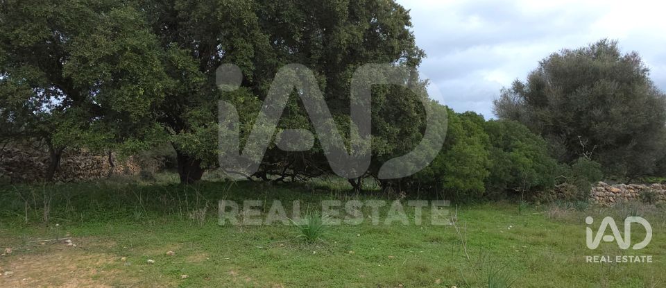 Land of 14,172 m² in Santa Margalida (07450)