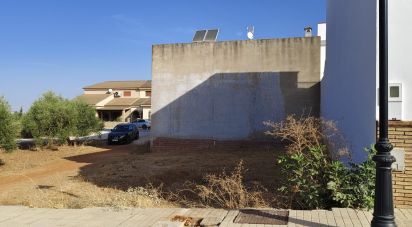 Land of 142 m² in Cañada Rosal (41439)