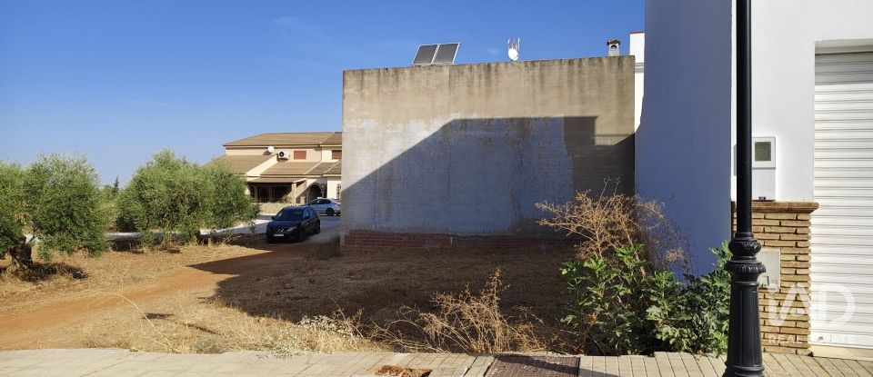 Terreny de 142 m² a Cañada Rosal (41439)