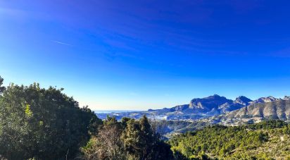 Land of 12,058 m² in Tarbena (03518)