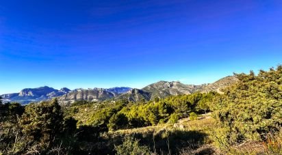 Land of 12,058 m² in Tarbena (03518)