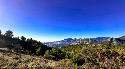 Land of 12,058 m² in Tarbena (03518)