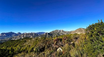 Land of 12,058 m² in Tarbena (03518)