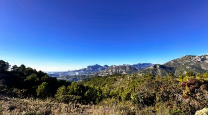 Land of 12,058 m² in Tarbena (03518)