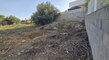 Land of 534 m² in El Verger (03770)