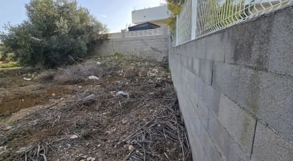 Land of 534 m² in El Verger (03770)