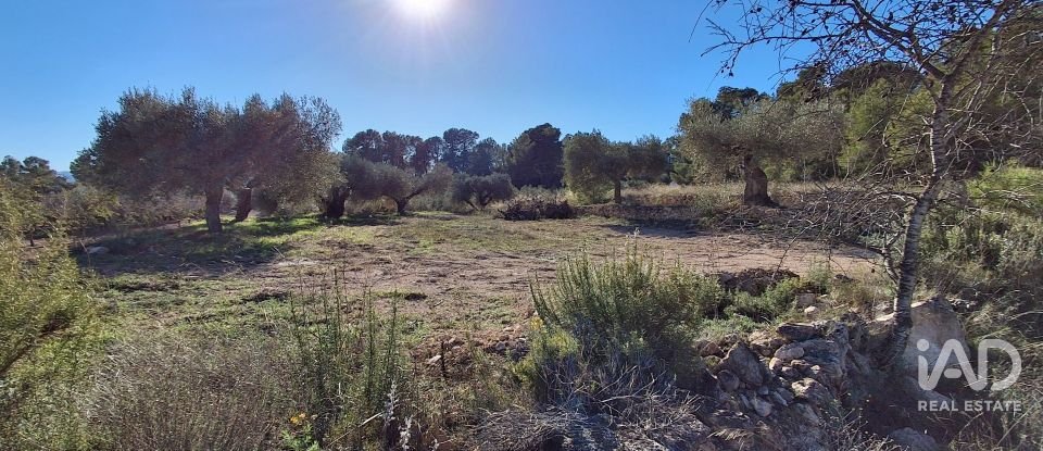 Casa rústica 3 habitaciones de 170 m² en Móra d'Ebre (43740)