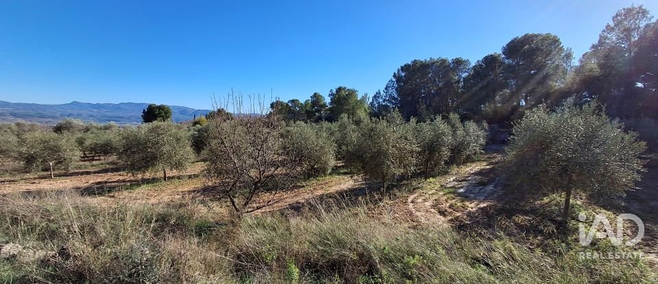 Casa rústica 3 habitaciones de 170 m² en Móra d'Ebre (43740)