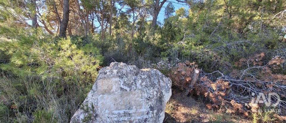 Casa rústica 3 habitaciones de 170 m² en Móra d'Ebre (43740)