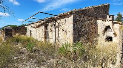 Land of 14,060 m² in Sineu (07510)