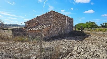 Land of 14,060 m² in Sineu (07510)