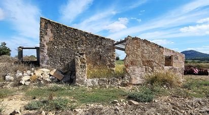 Land of 14,060 m² in Sineu (07510)