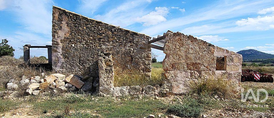 Land of 14,060 m² in Sineu (07510)