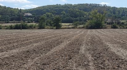 Land of 14,060 m² in Sineu (07510)
