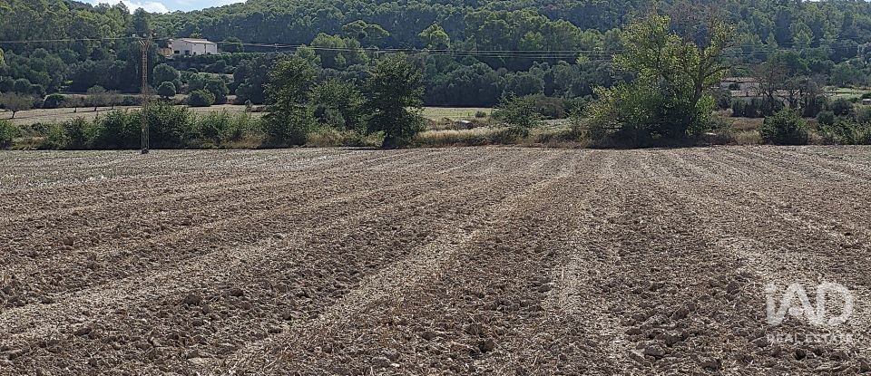 Land of 14,060 m² in Sineu (07510)