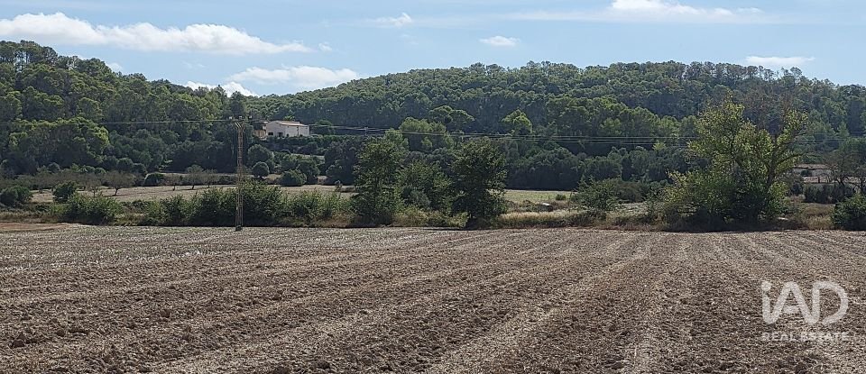 Land of 14,060 m² in Sineu (07510)