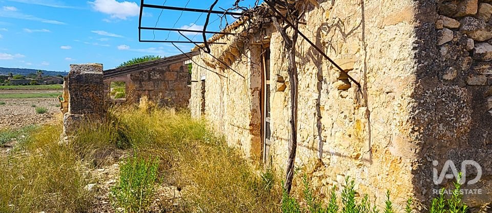 Land of 14,060 m² in Sineu (07510)