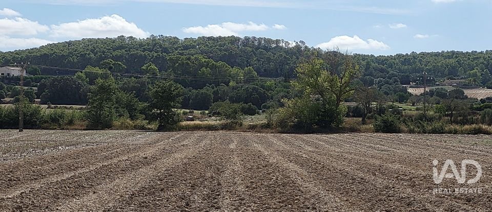 Land of 14,060 m² in Sineu (07510)