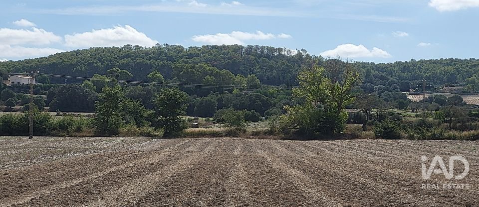 Land of 14,060 m² in Sineu (07510)