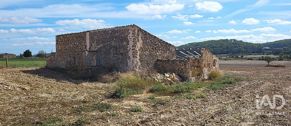 Land of 14,060 m² in Sineu (07510)