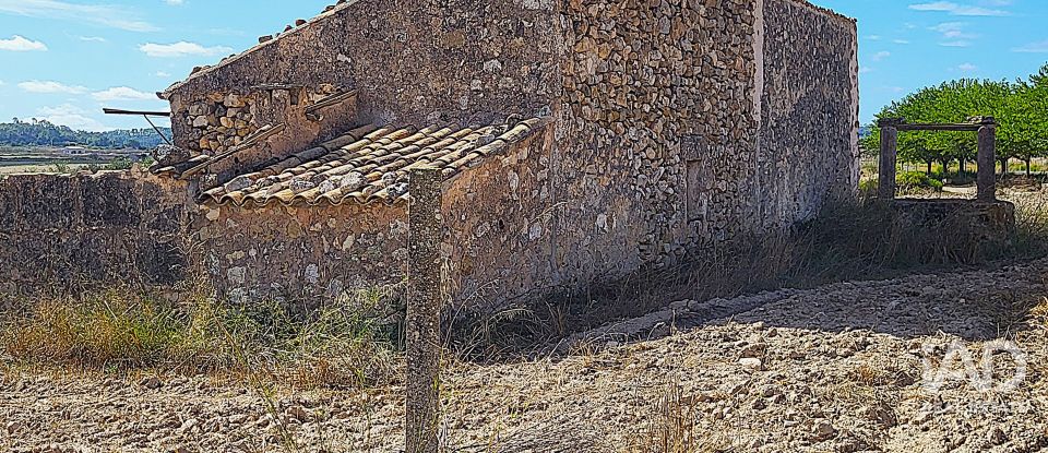 Land of 14,060 m² in Sineu (07510)