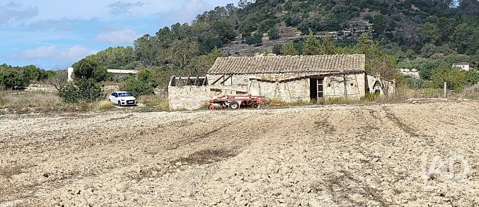 Land of 14,060 m² in Sineu (07510)