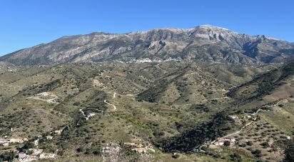 Casa 3 habitacions de 128 m² a Canillas de Aceituno (29716)