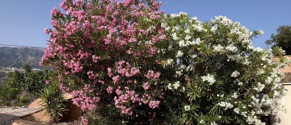 Casa 3 habitacions de 128 m² a Canillas de Aceituno (29716)