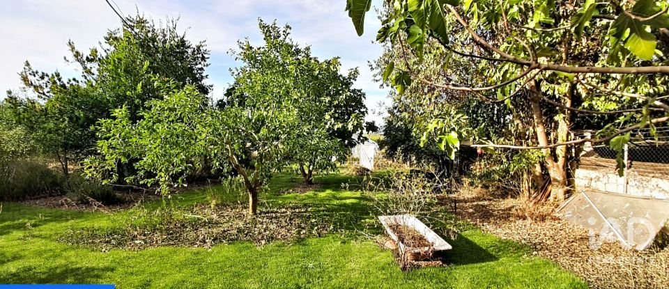 Terreno agricola de 9.850 m² en Las Navas de Las Concepcion (41460)