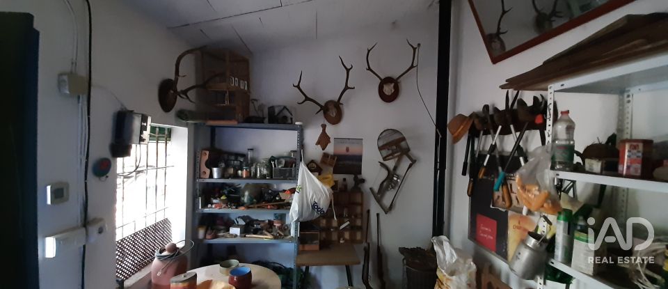 Terreno agricola de 9.850 m² en Las Navas de Las Concepcion (41460)