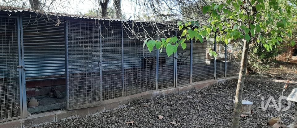 Terreno agricola de 9.850 m² en Las Navas de Las Concepcion (41460)