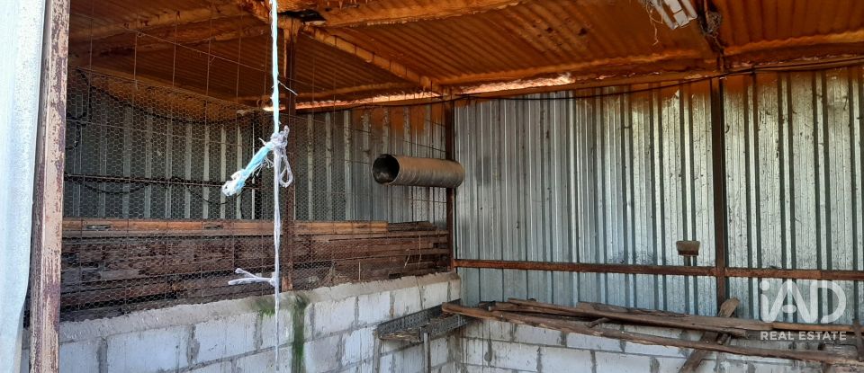 Terreno agricola de 9.850 m² en Las Navas de Las Concepcion (41460)