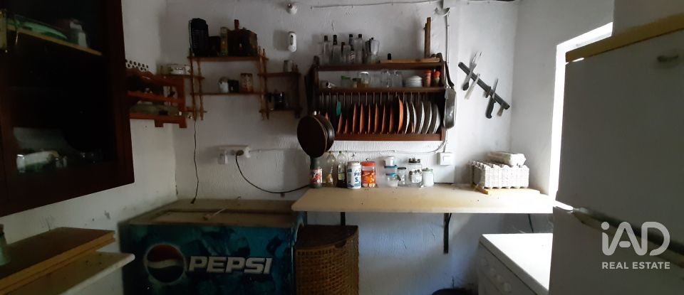 Terreno agricola de 9.850 m² en Las Navas de Las Concepcion (41460)