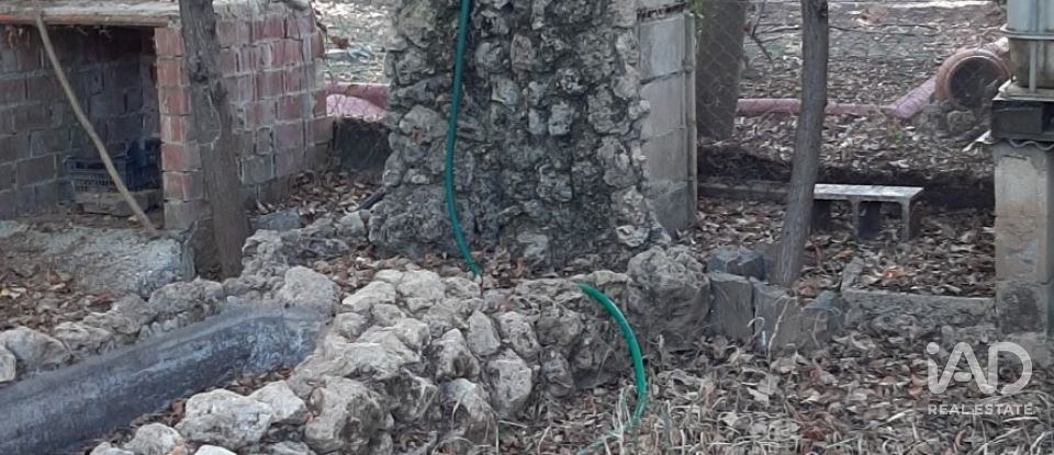 Terreno agricola de 9.850 m² en Las Navas de Las Concepcion (41460)