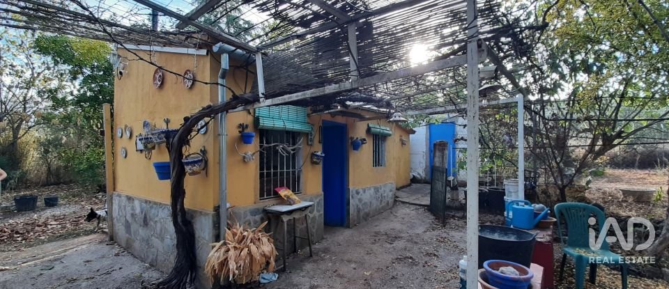 Terreno agricola de 9.850 m² en Las Navas de Las Concepcion (41460)