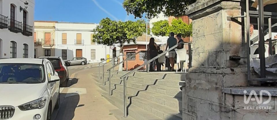 Terreno agricola de 9.850 m² en Las Navas de Las Concepcion (41460)