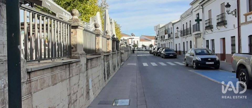 Terreno agricola de 9.850 m² en Las Navas de Las Concepcion (41460)