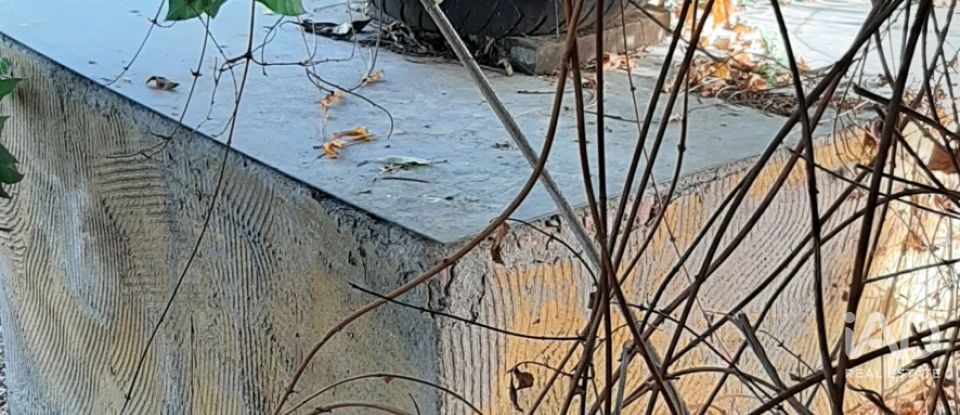 Terreno agricola de 9.850 m² en Las Navas de Las Concepcion (41460)