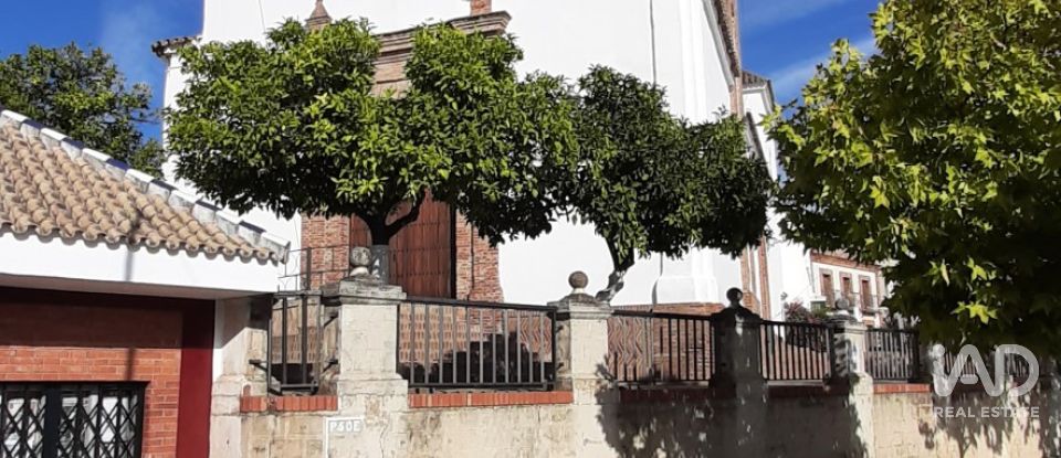 Terreno agricola de 9.850 m² en Las Navas de Las Concepcion (41460)