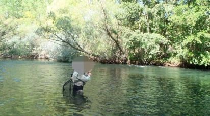 Land of 762 m² in Rioseco de Tapia (24275)