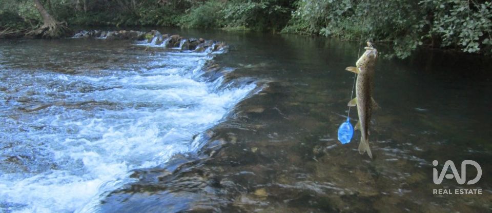 Terreny de 762 m² a Rioseco de Tapia (24275)