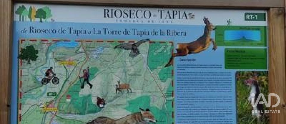 Terreny de 762 m² a Rioseco de Tapia (24275)