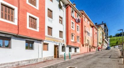 Apartment 2 bedrooms of 58 m² in Zumarraga (20700)