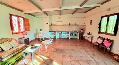 Land of 7,615 m² in El Masroig (43736)