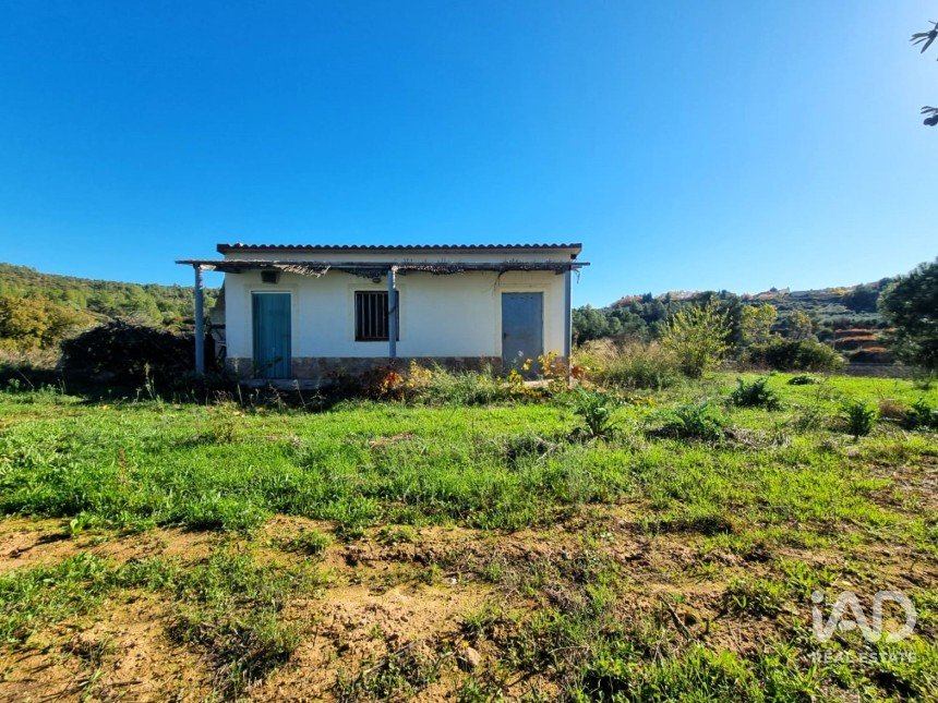 Land of 7,615 m² in El Masroig (43736)